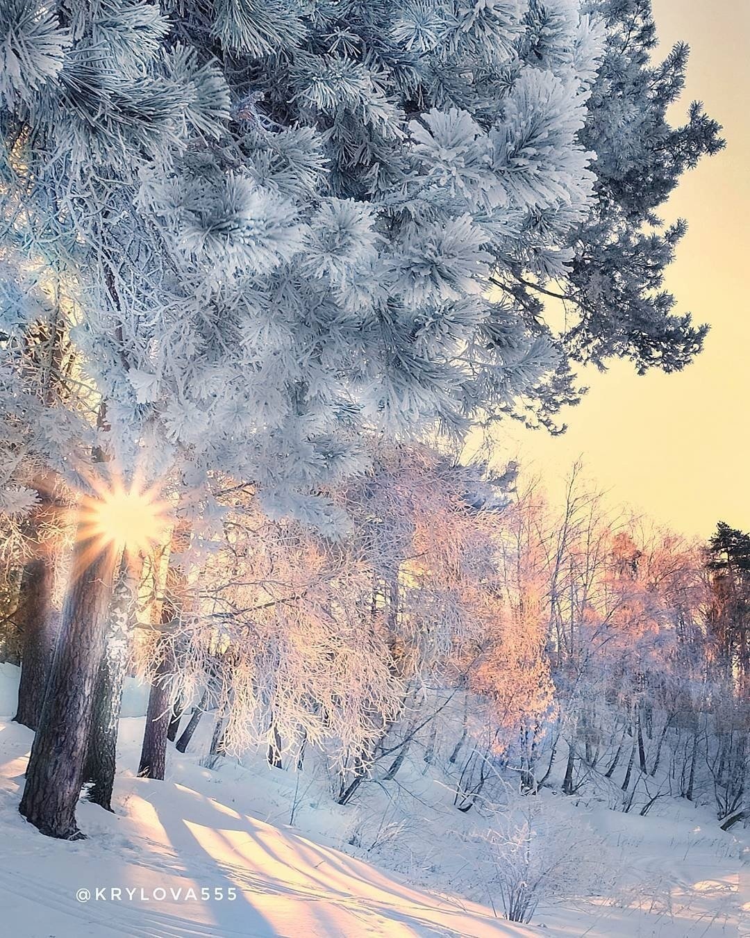 Зимнее утро