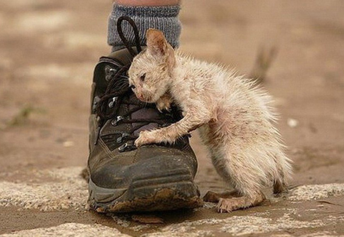 Стихи о том что все будет хорошо