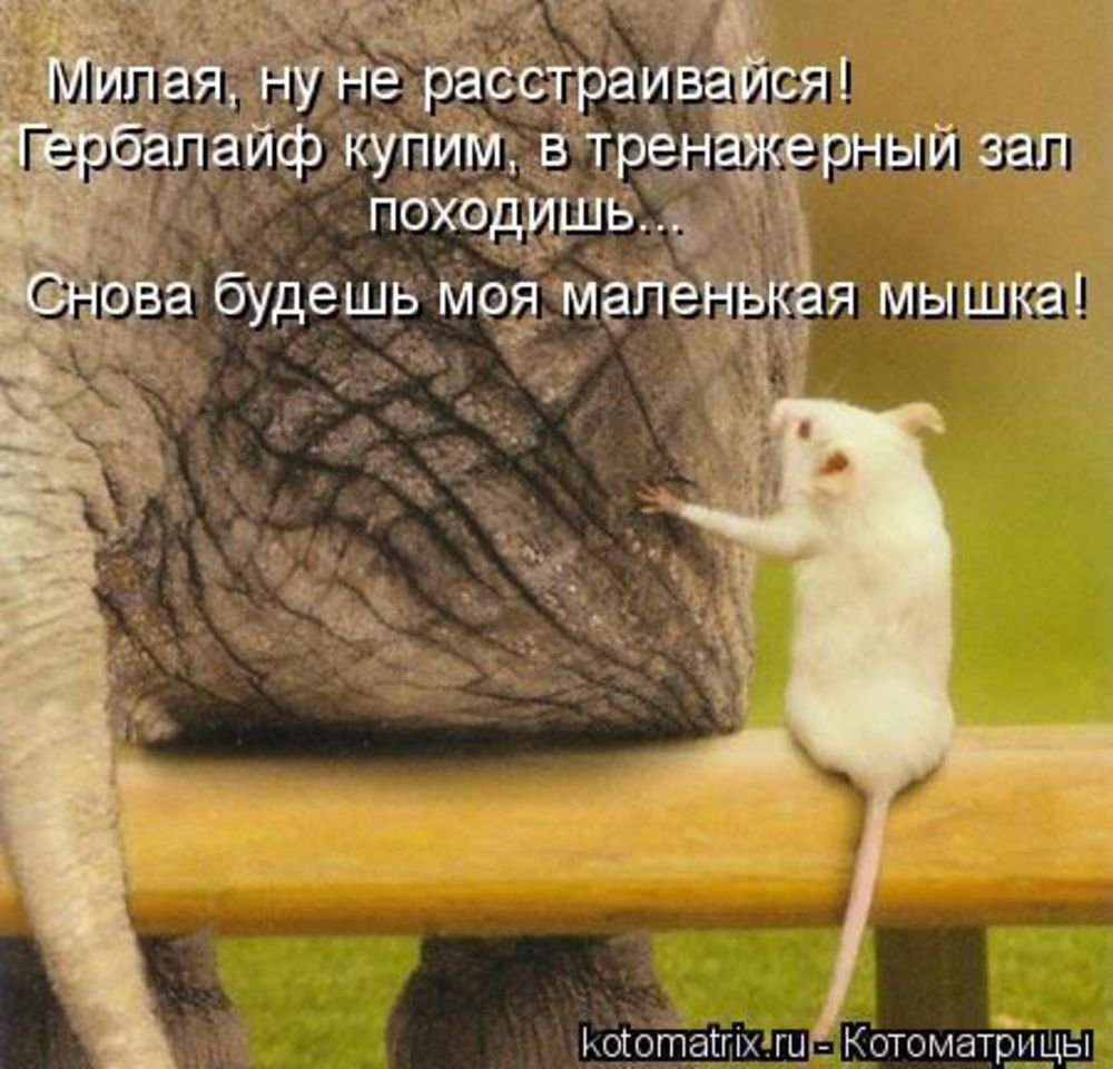 Позитивные цитаты