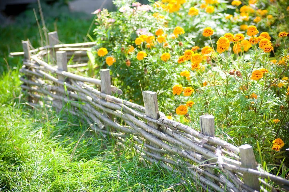 Деревенский забор плетень