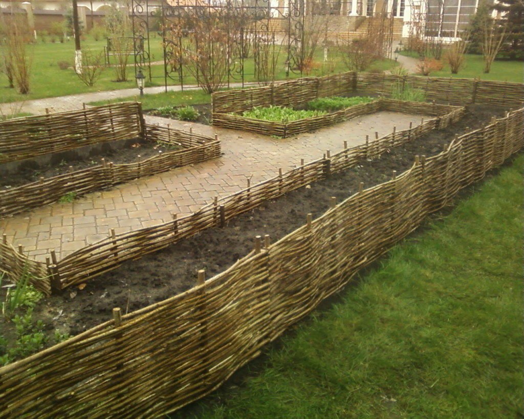 Забор плетень лоза