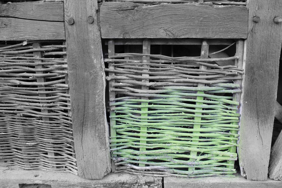 Плетень картинка