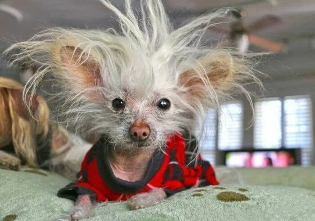 Ишмаев Сергей художник рисунки