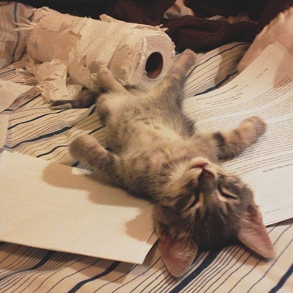 Высказывания про усталость