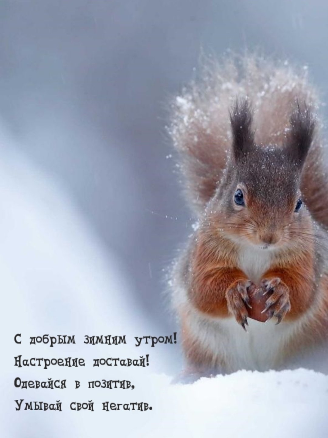 Доборого зимненего утро