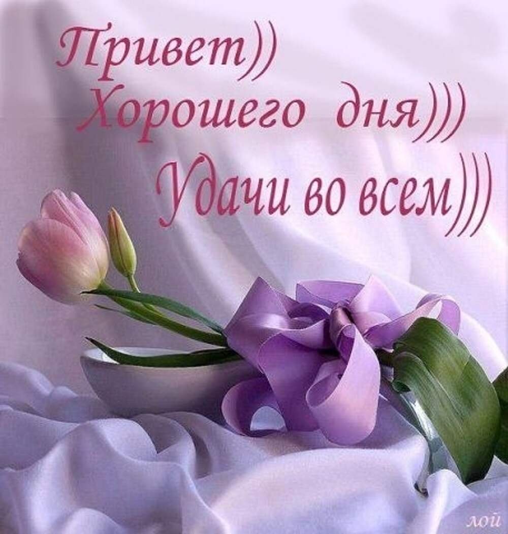 Добрый день стихи