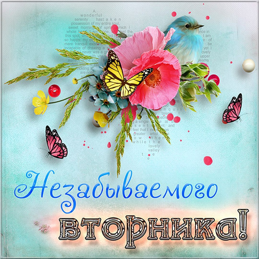 Добрый день друзья картинки