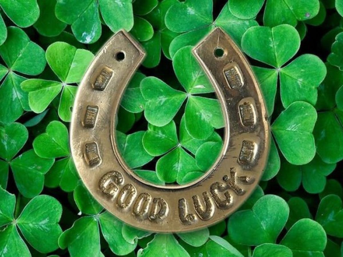 Клевер четырехлистник аниме