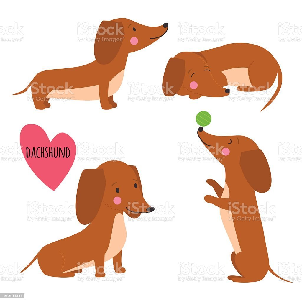 Витраж такса