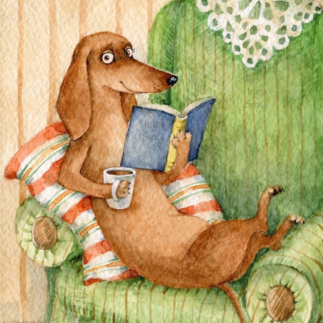 Забавные таксы