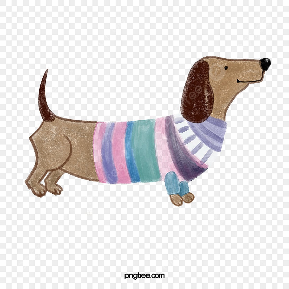 Такса собака