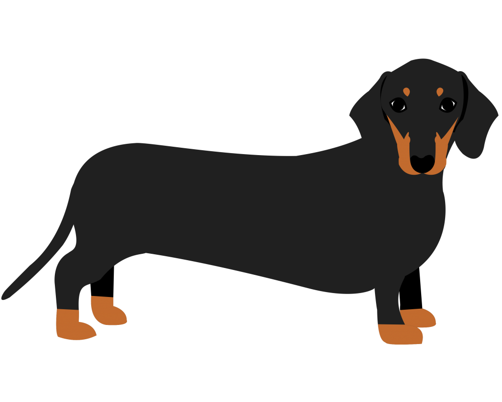 Такса в мультяшном стиле