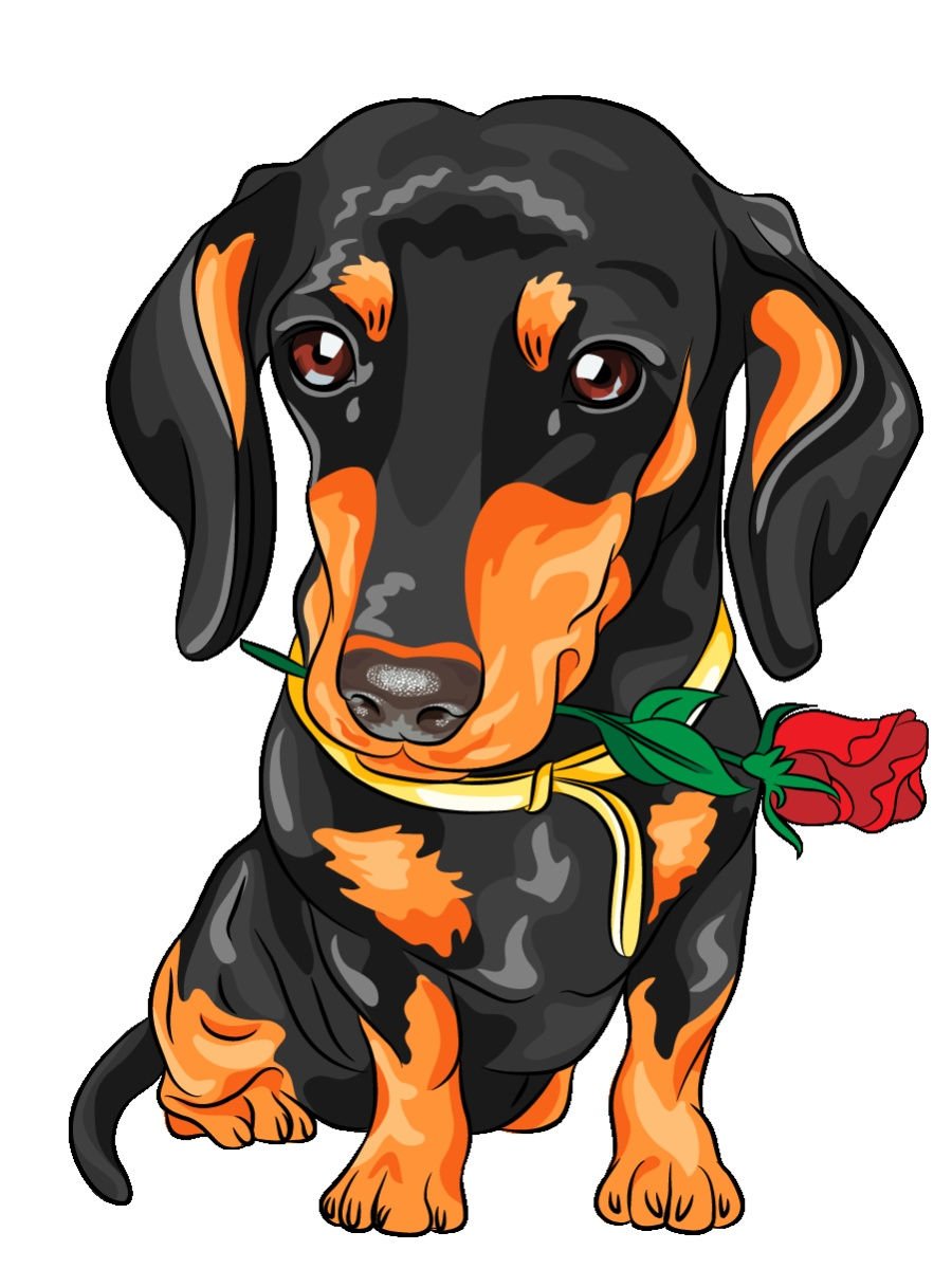 Такса с крылышками