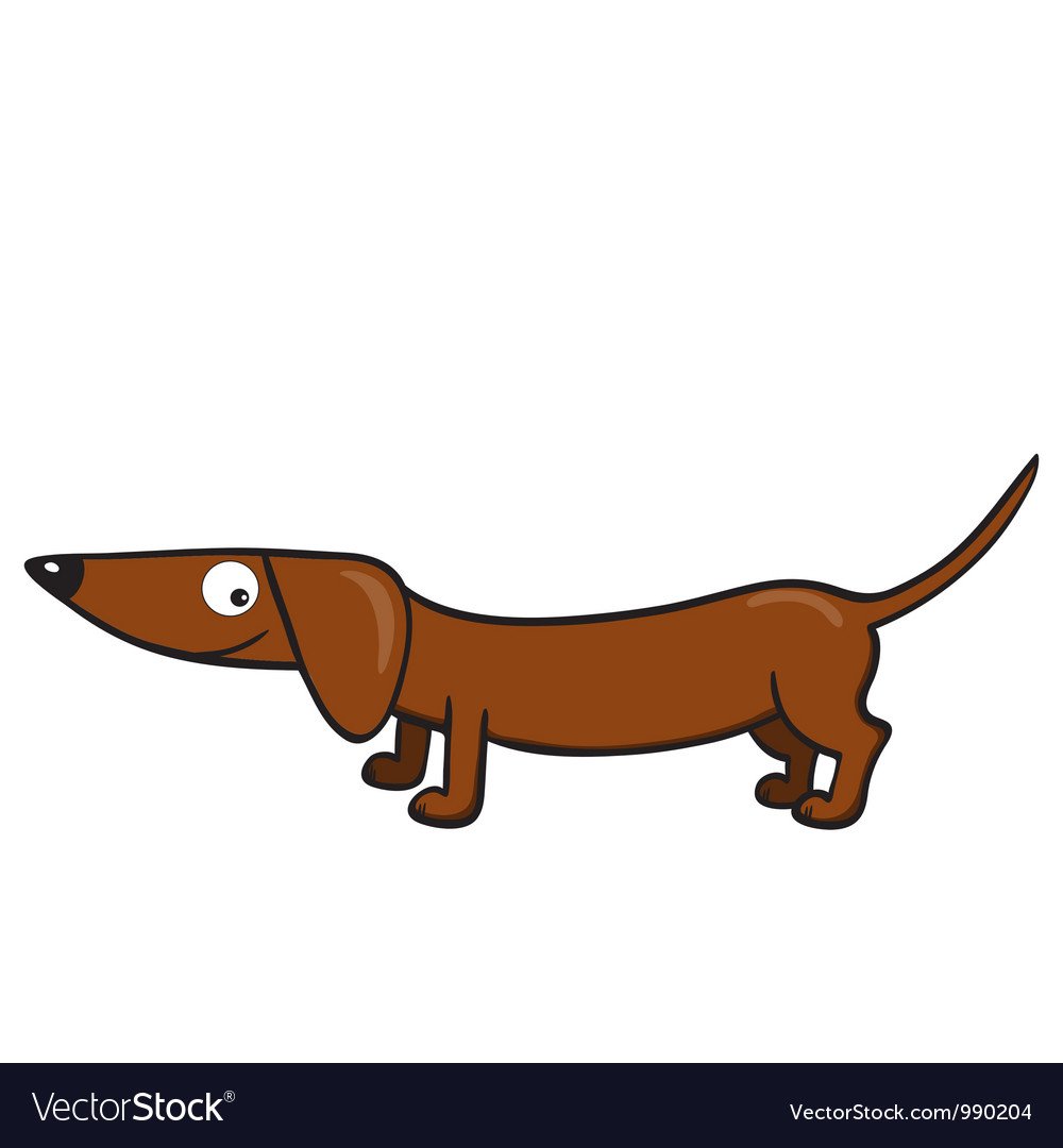 Такса с цветами в зубах