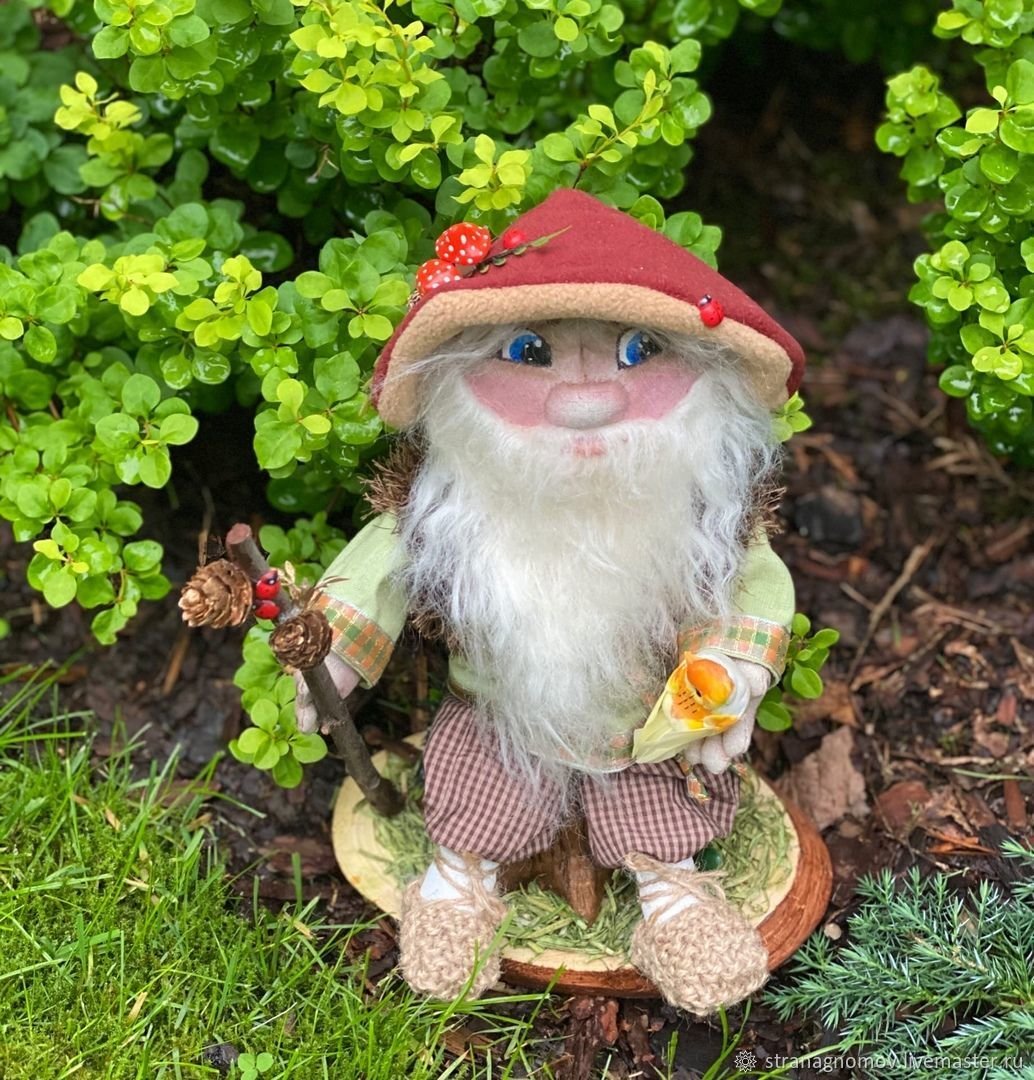 Боровик Лесовик сказочный персонаж