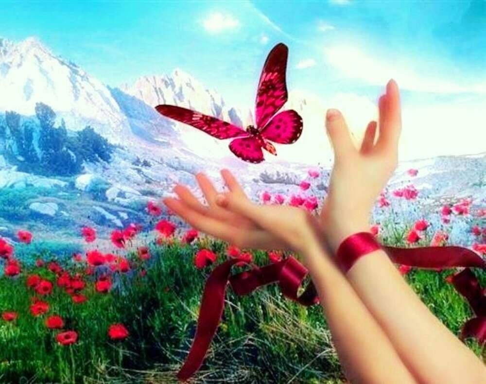 Наслаждение жизнью