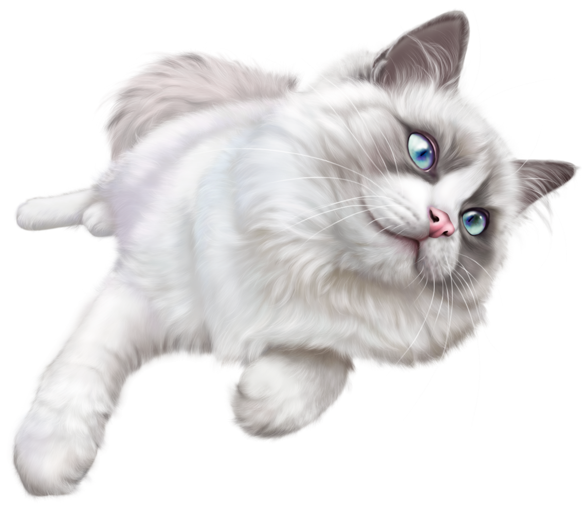Кошка на прозрачном фоне