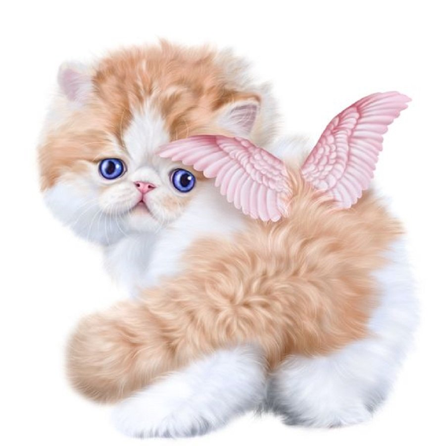 Милые котики