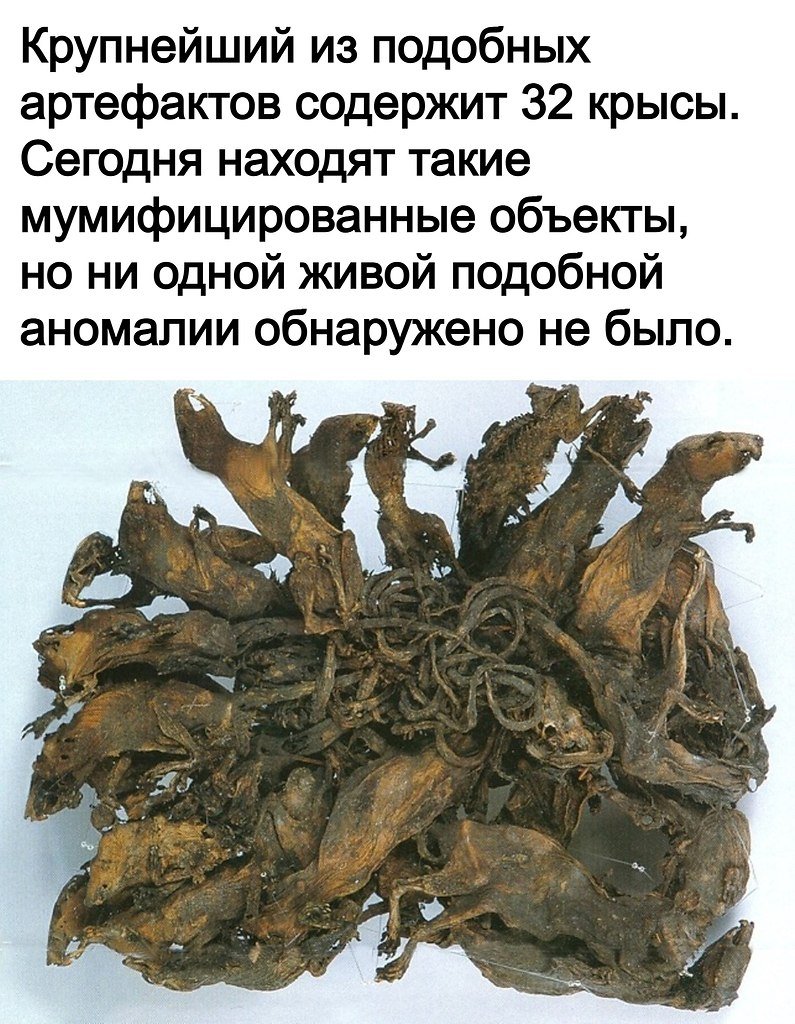 Крысиный Король Король