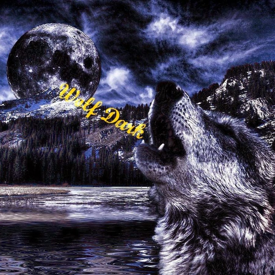 Одинокие волки