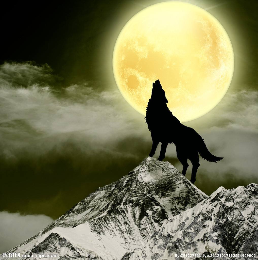 Воющий волк