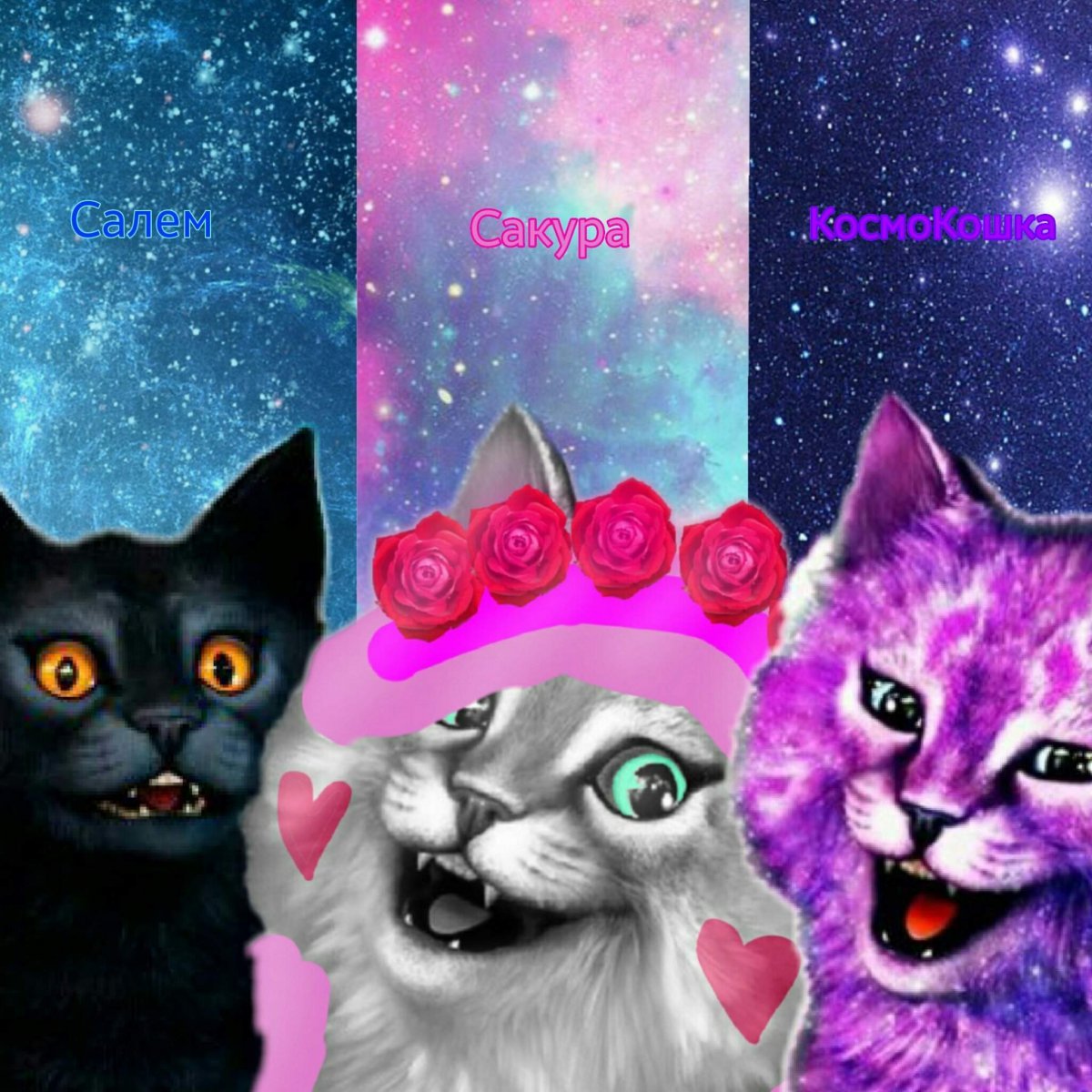 Кот Лео и кошка Лана РОБЛОКС