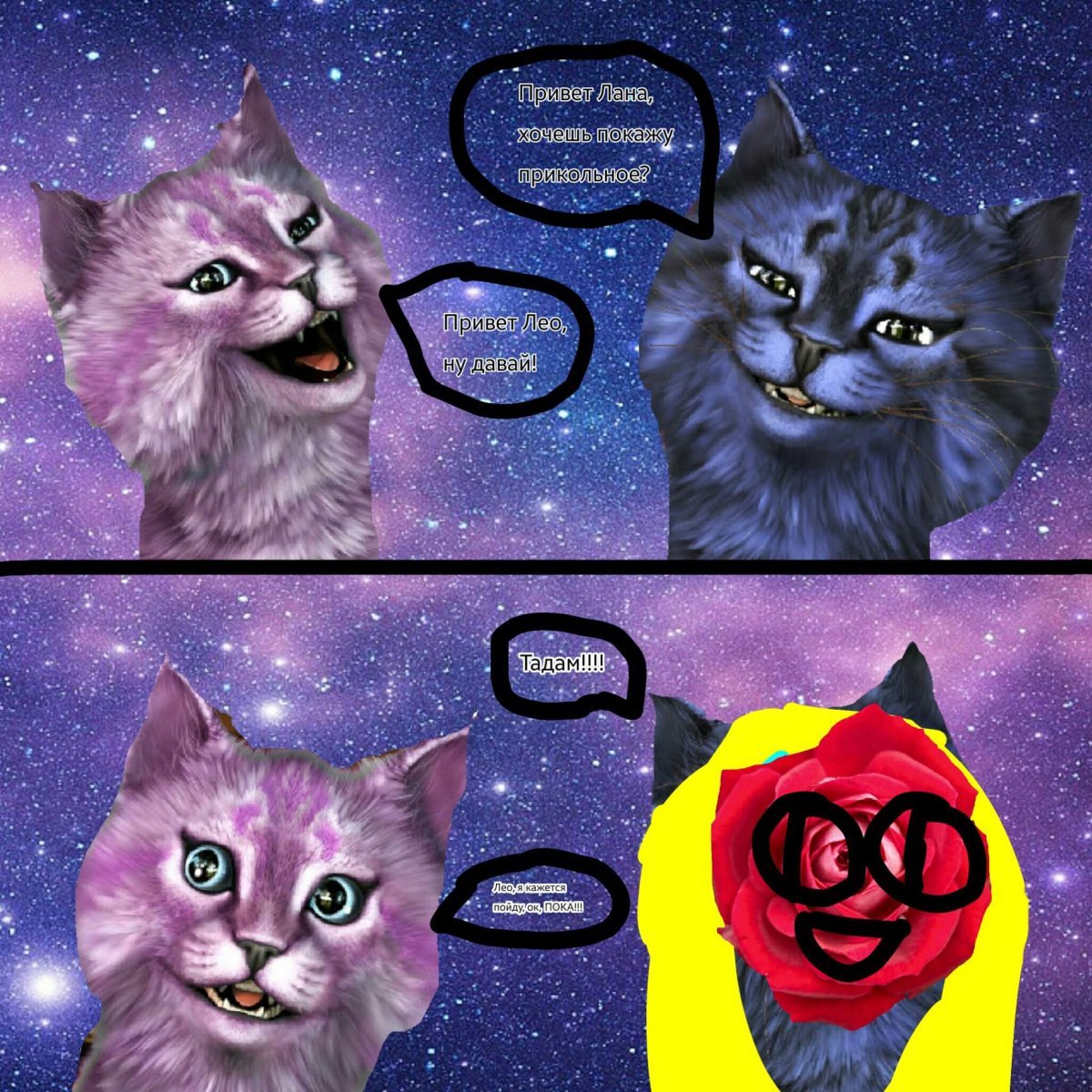 Кошка Лана и Леонард