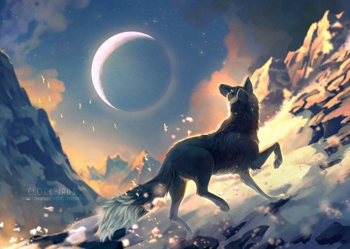 Полнолуние волк