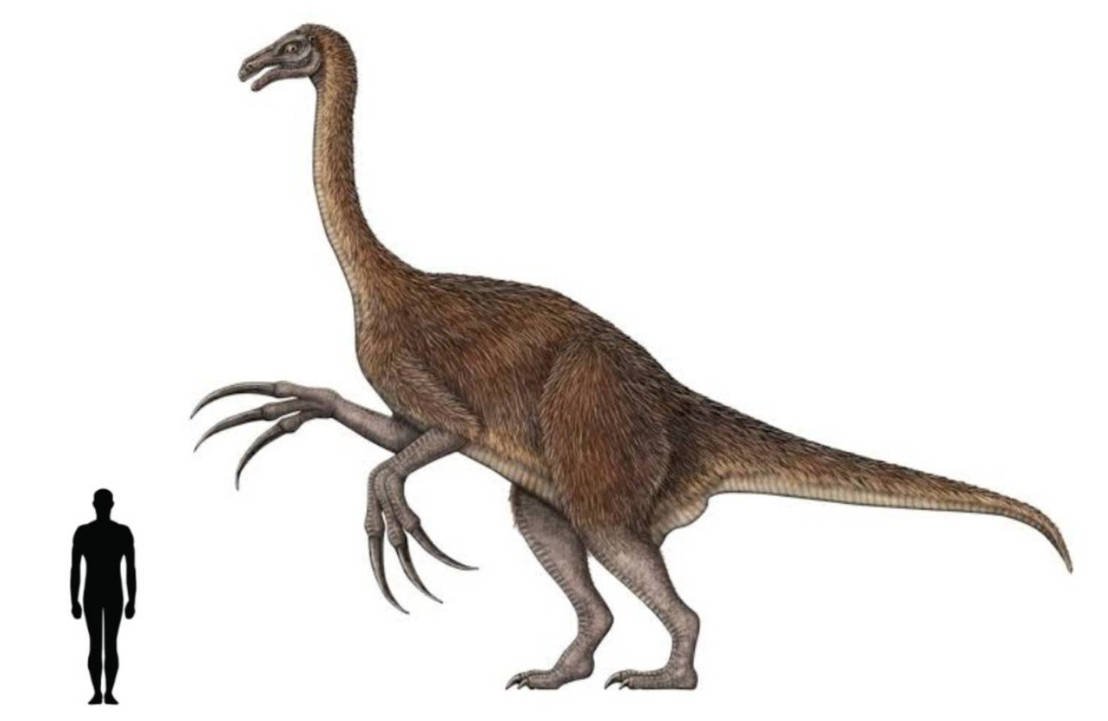 Теризинозавр исл