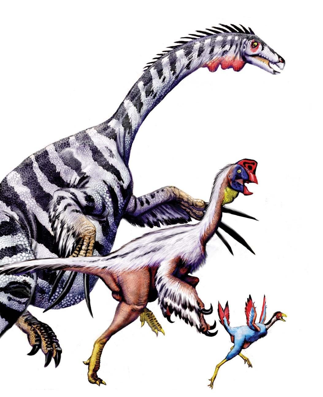 Терезина the Isle