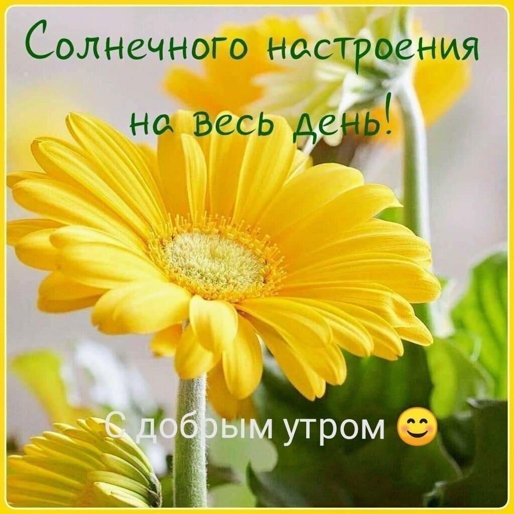 Солнечного дня и хорошего настроени