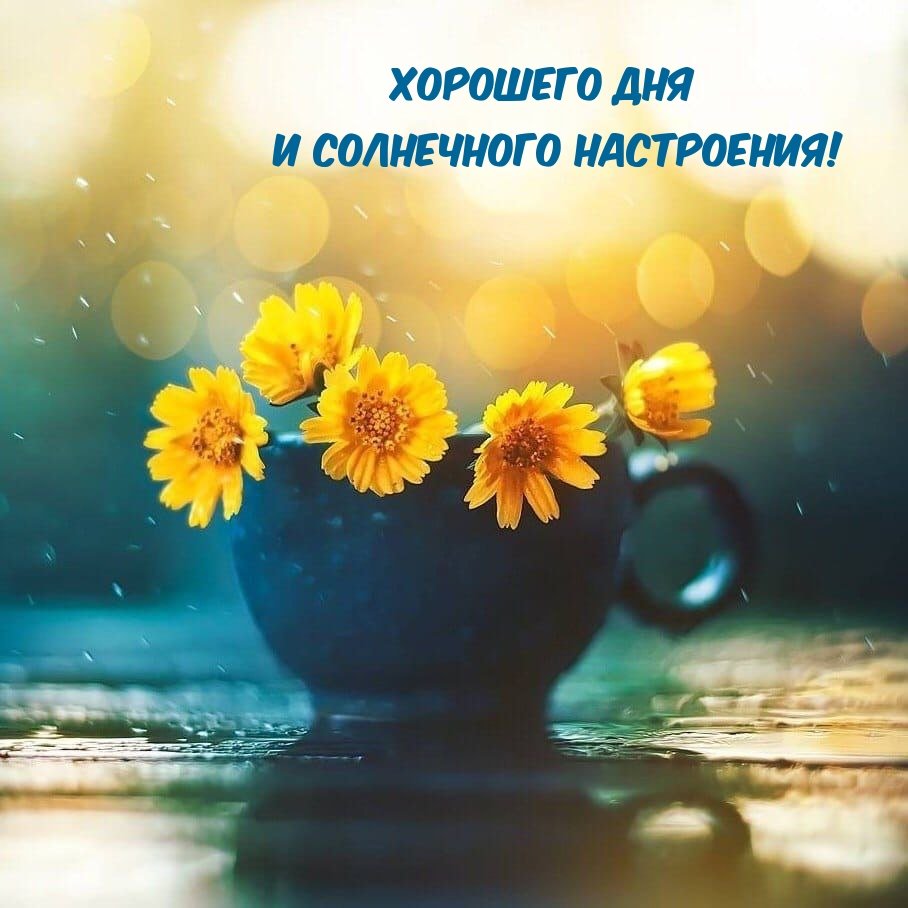 Солнечного настроения картинки красивые необычные