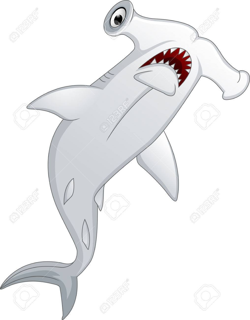 Морские обитатели акулы