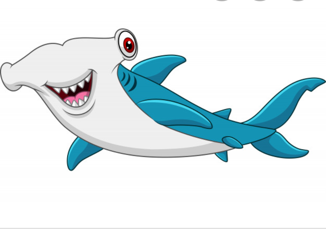 Огромная акула молот