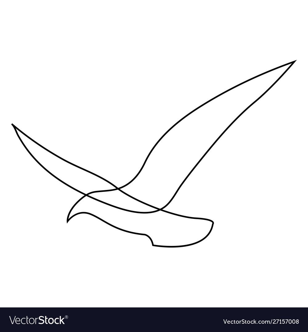 Тень от члена в виде Чайки