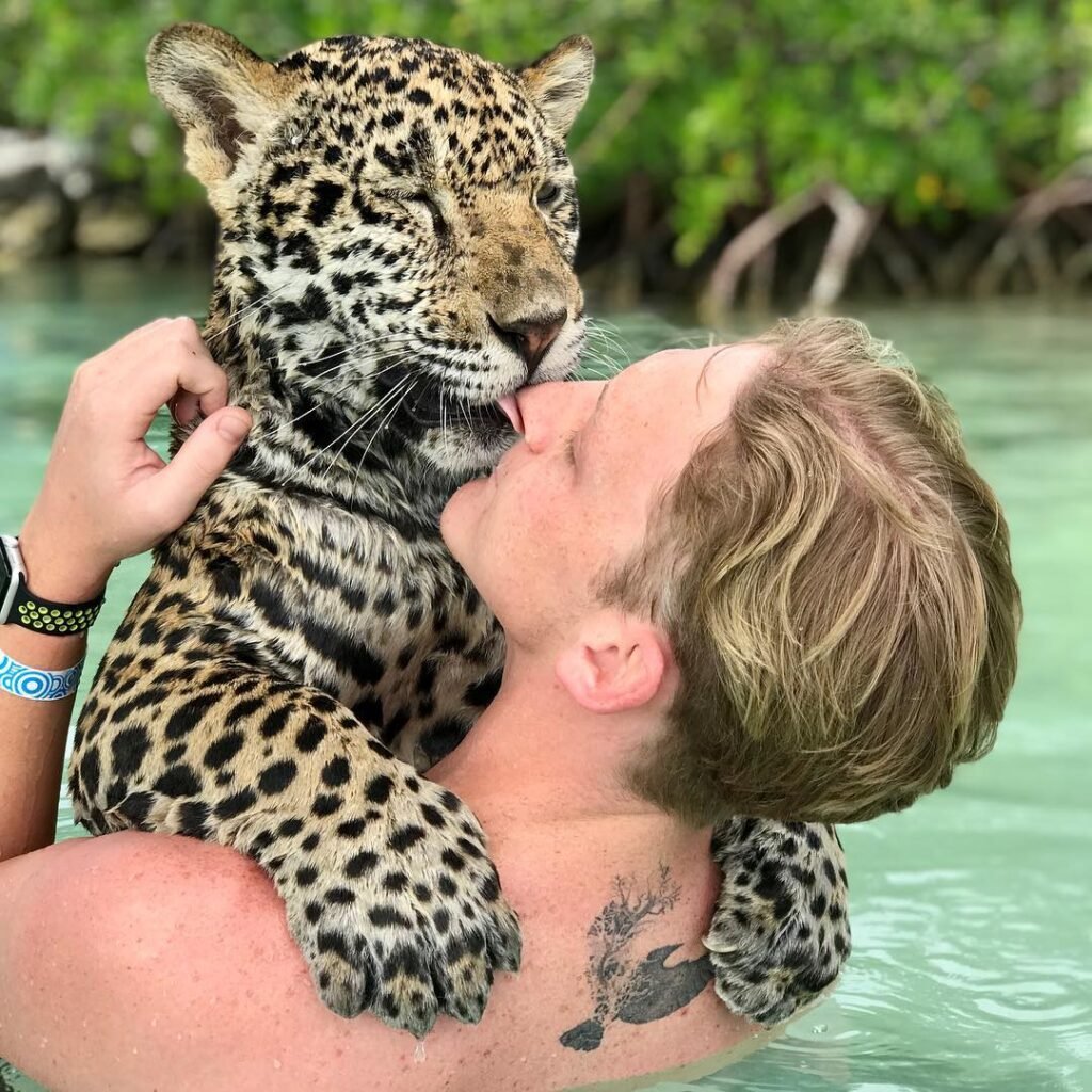 Машина гепард