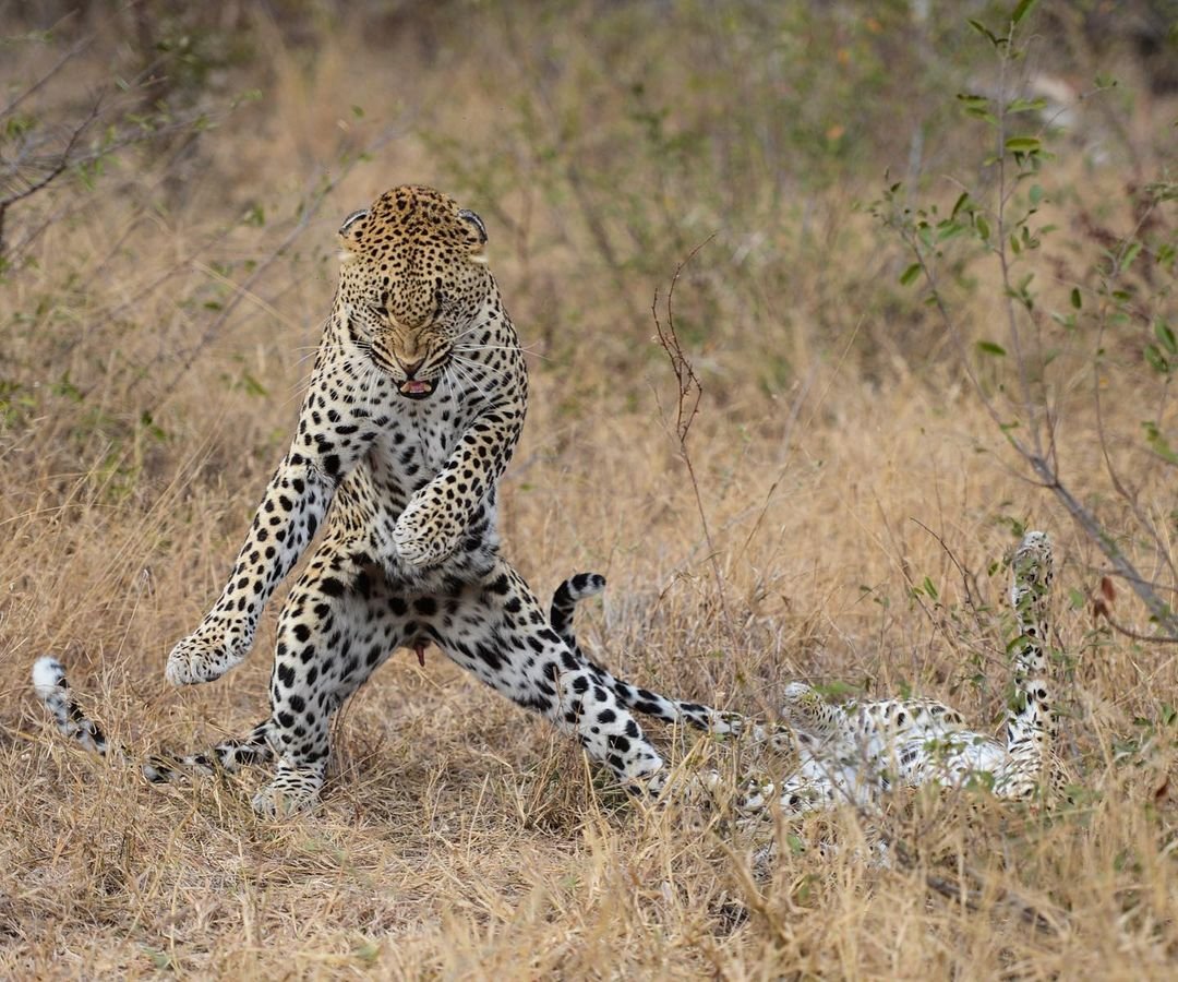 Девушка в машине