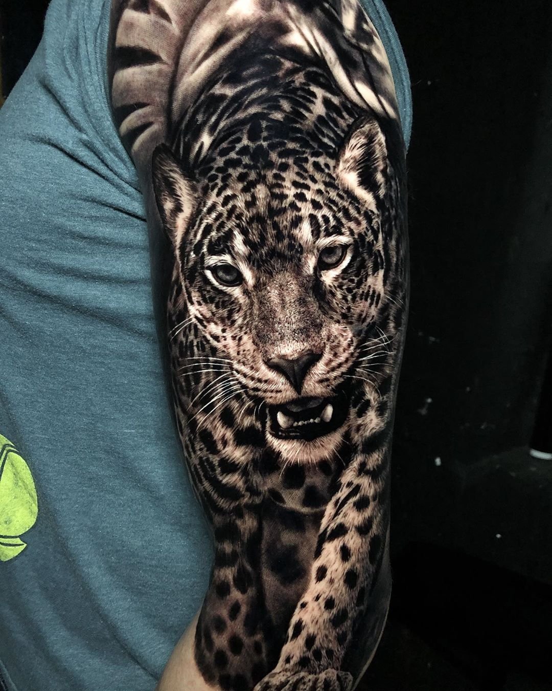 Пантера Ягуар гепард