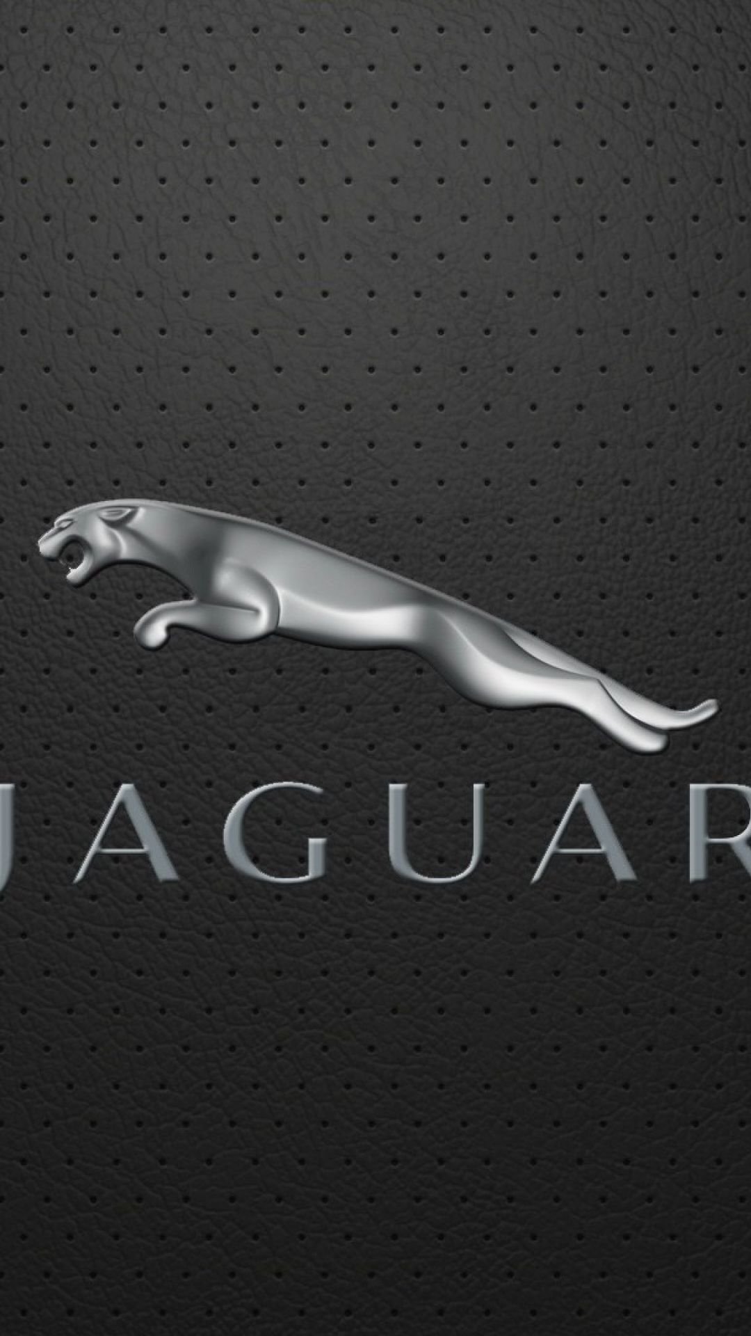 Цейлонский леопард