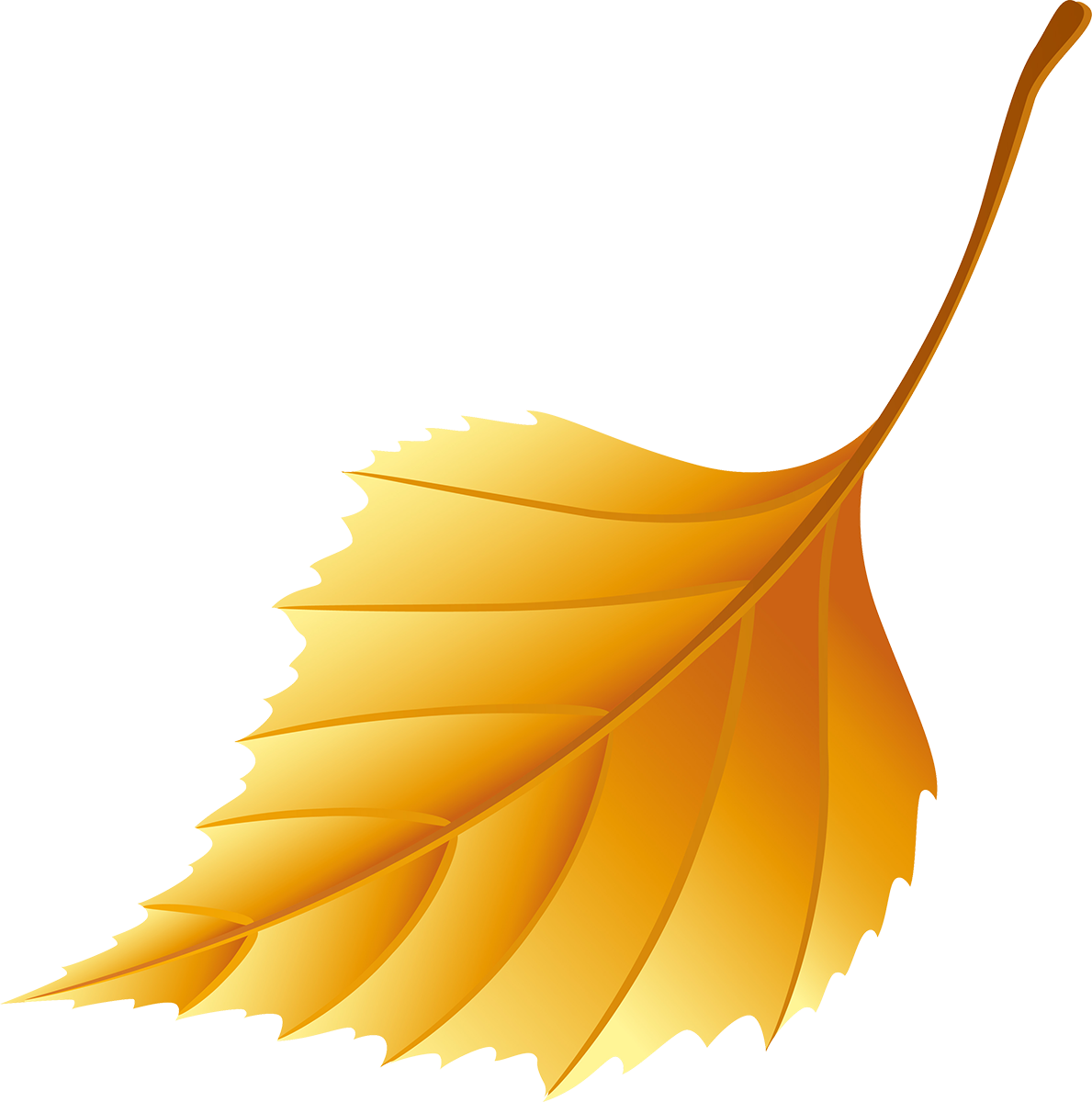 Узор из осенних листьев