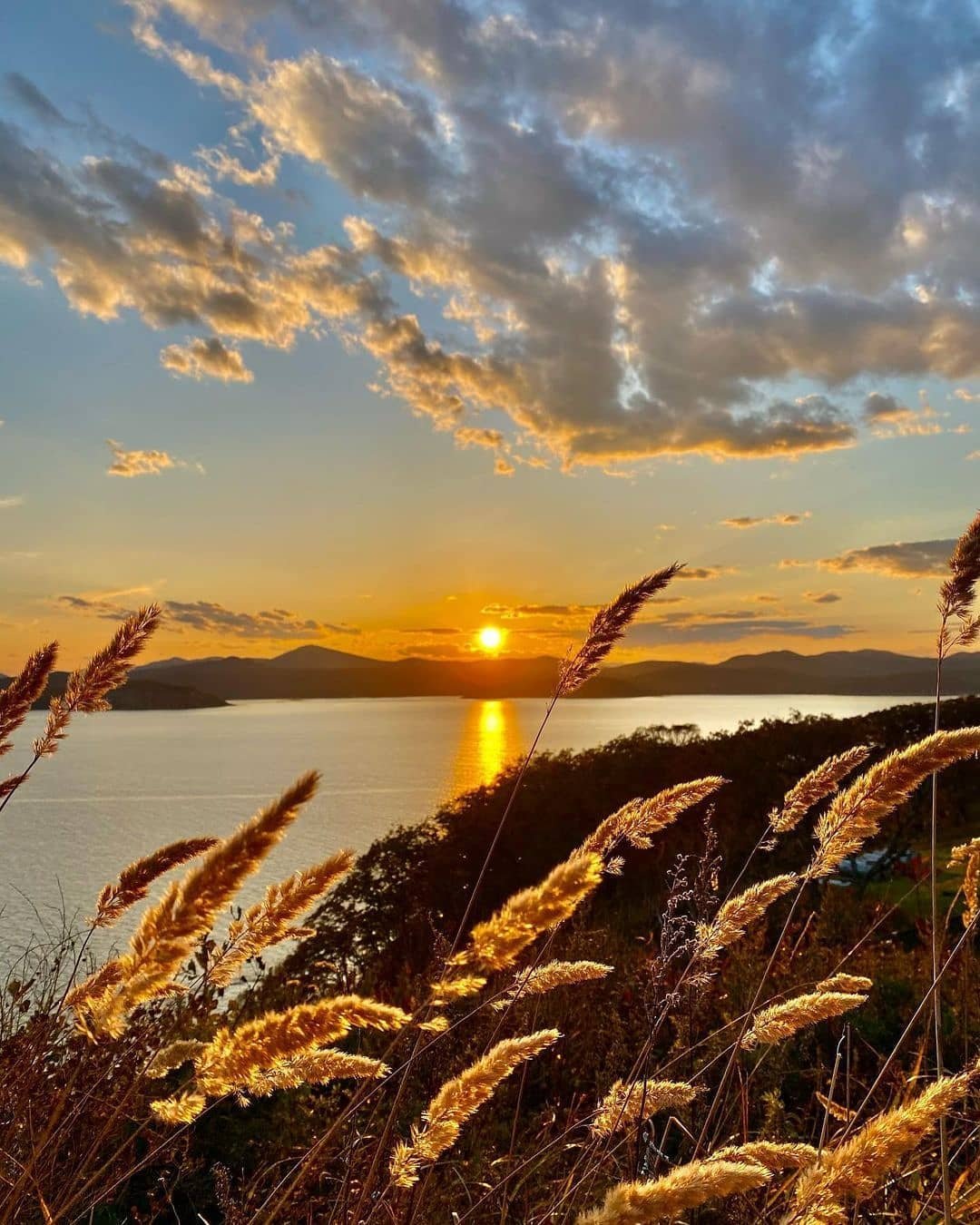 Центр Приморского края город