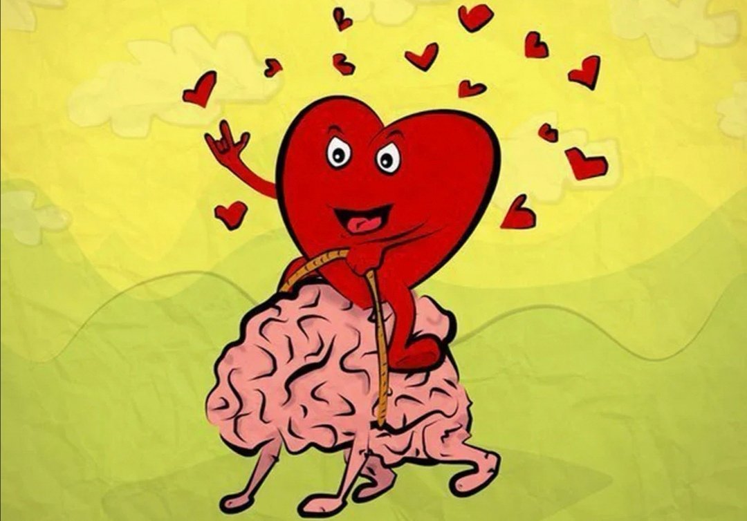 Мозг сердцу только попробуй ещё раз влюбиться