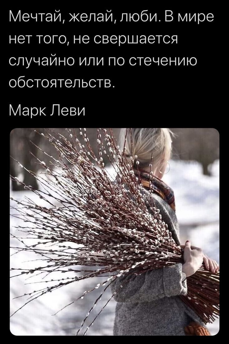 Бегите глупцы