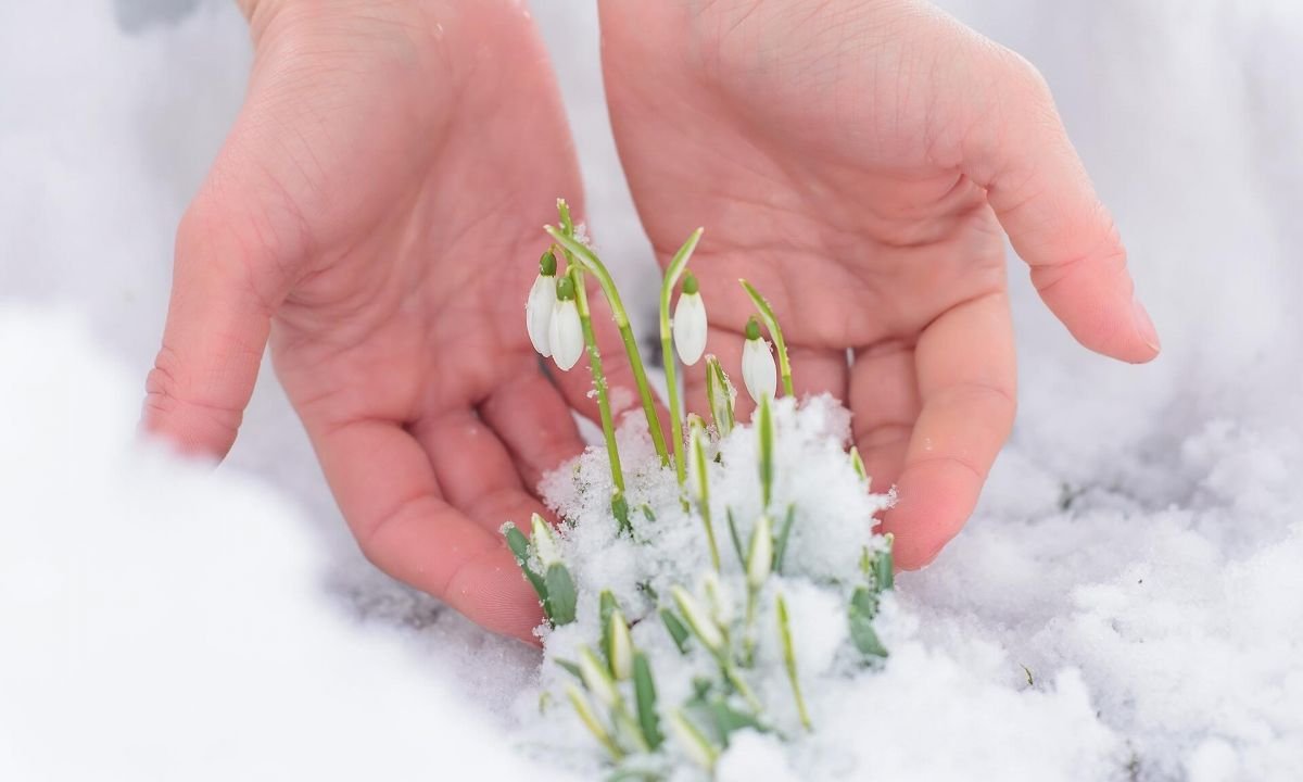 Зимнее окно