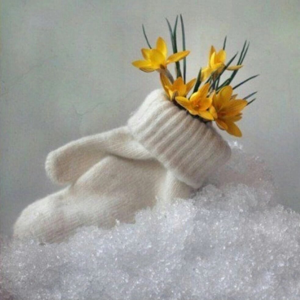 Снежное настроение