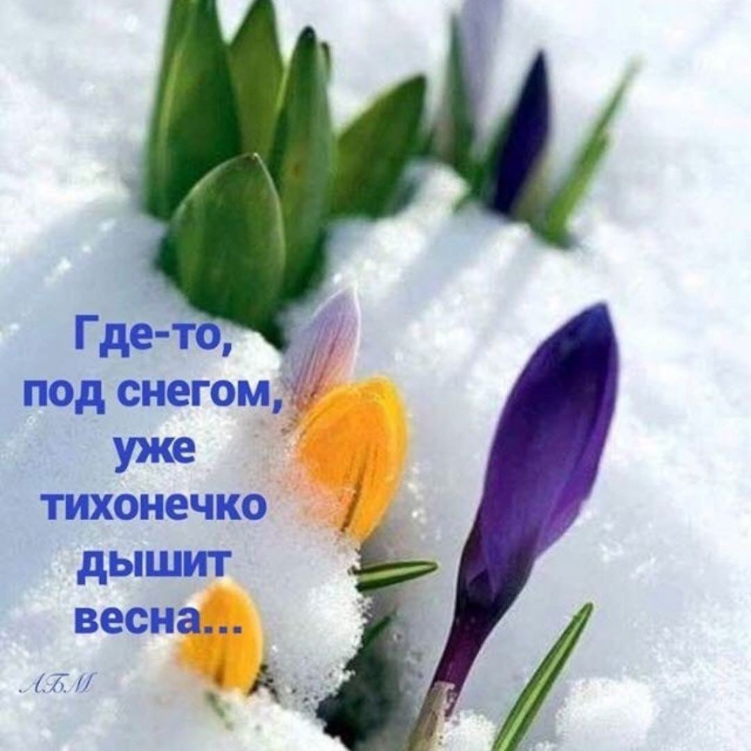 Девушка и снегопад