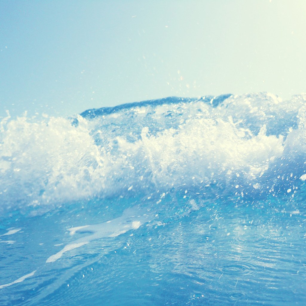 Свежесть моря