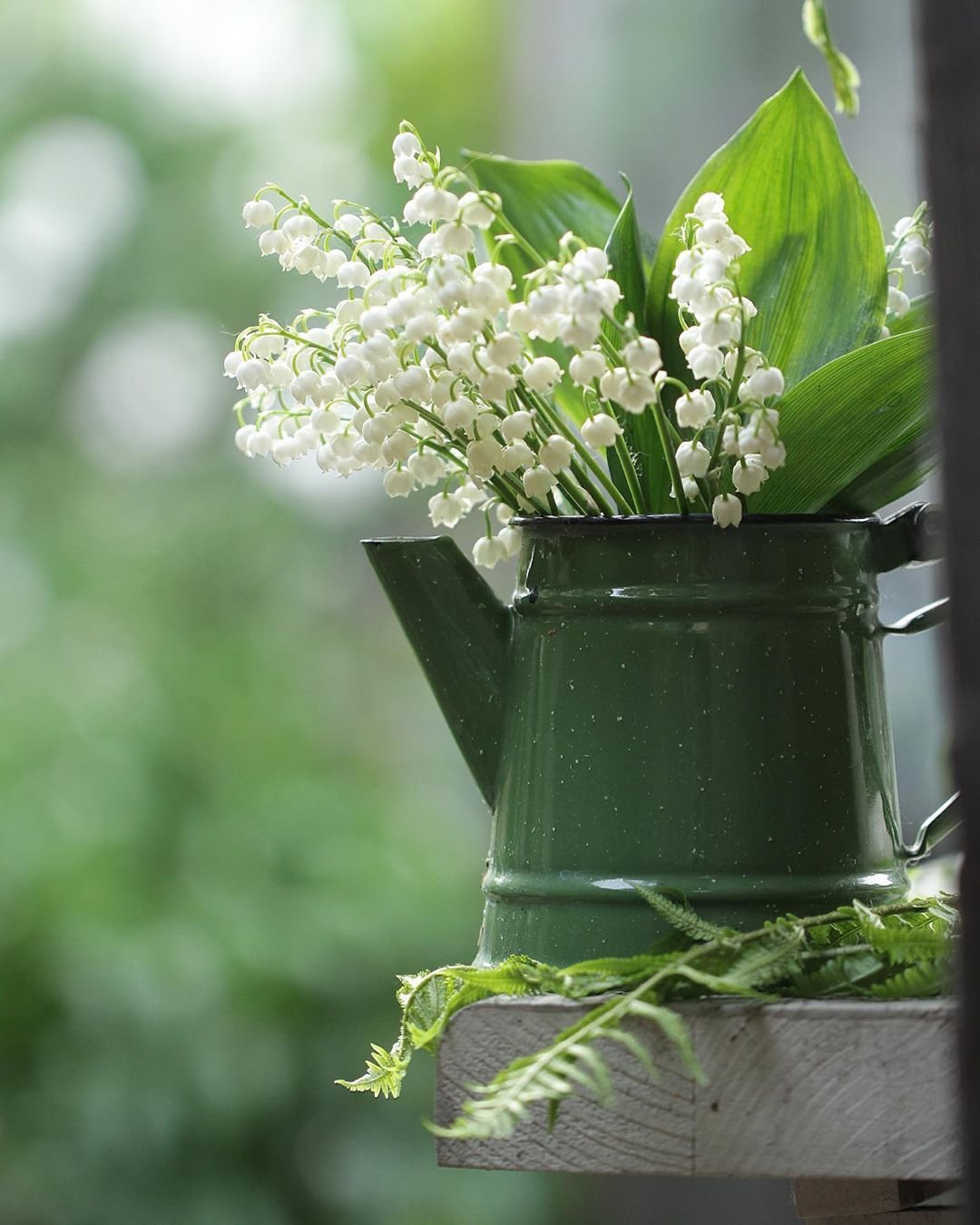 Утренний Ландыш