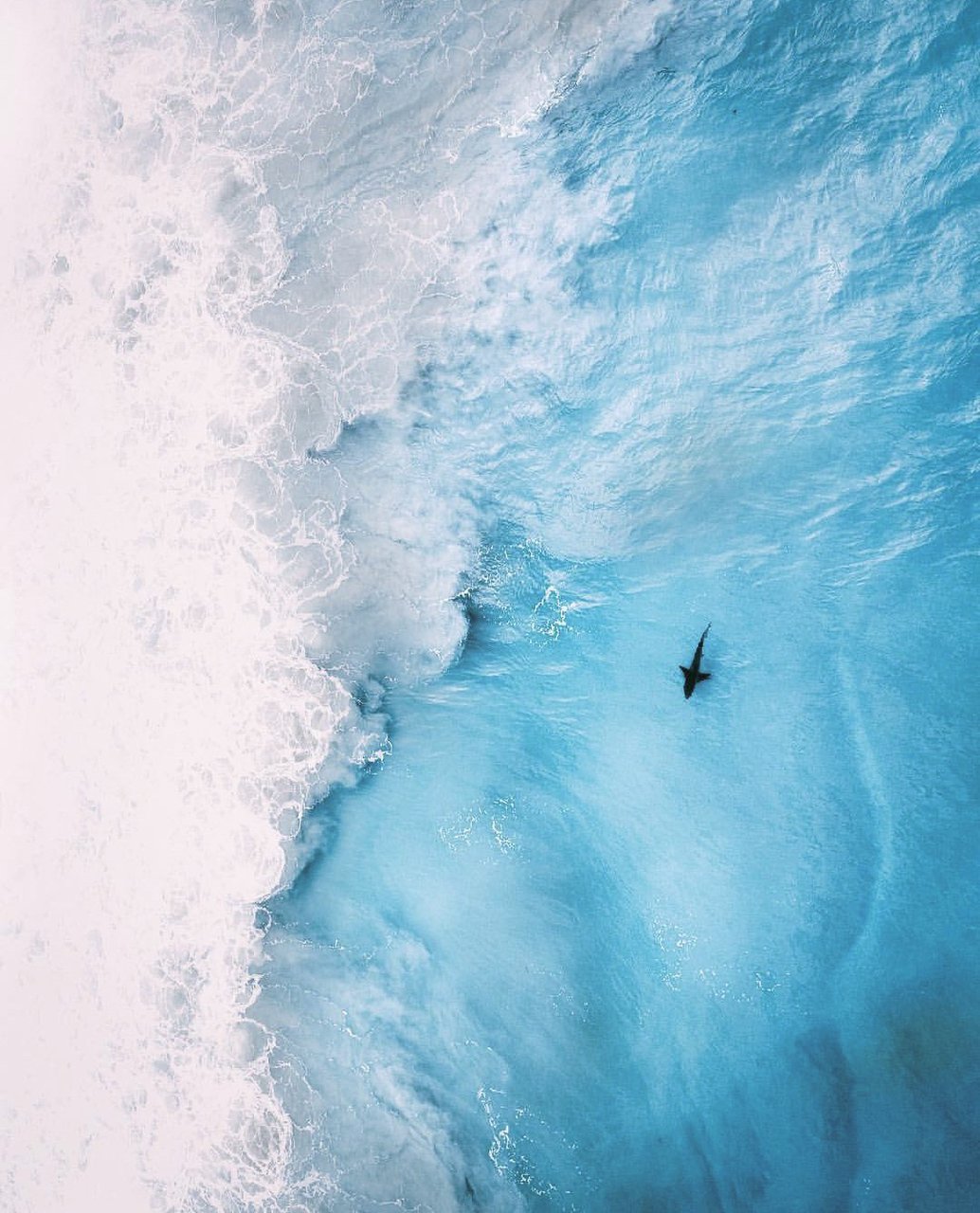 Океан с высоты птичьего полета