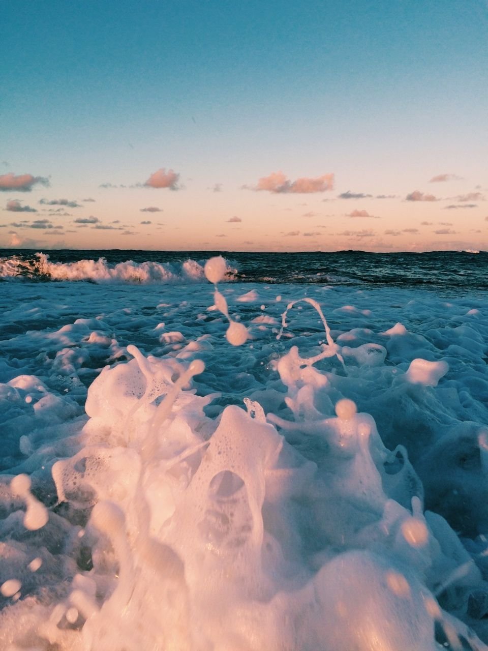 Дельфины фон